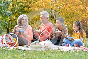 Family having a picnic in the park