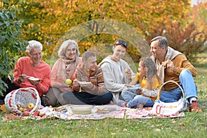 Family having a picnic in the park