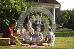 Family having picnic in park.