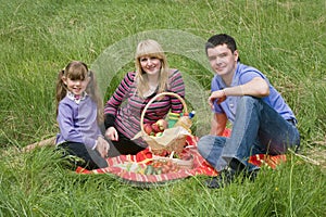 Family having picnic in park