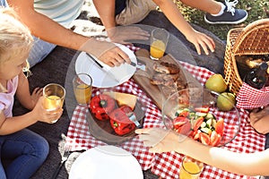 Family having picnic in park on sunny day,