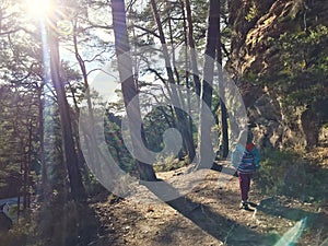 Family hike in autumn forest in Rheinland Pfalz