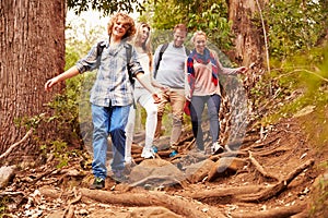 Family hiking through a forest