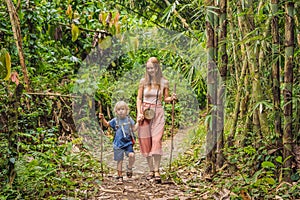 Family in hiking. Mom and son walking in the forest with trekking sticks