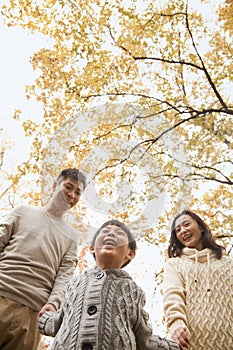 Family holding hands and walking through the park in the autumn, low angle view