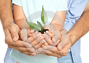 Family holding soil with green plant in hands