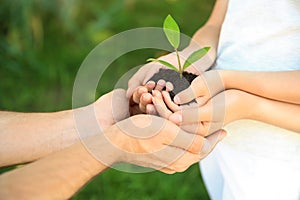 Family holding soil with green plant in hands