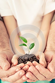 Family holding young sprout in hands