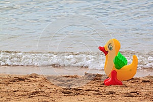 Family holiday concept with rubber duck walking on the beach