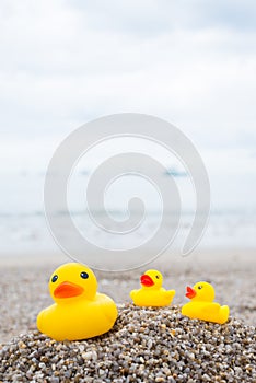 Family holiday concept with rubber ducks walking