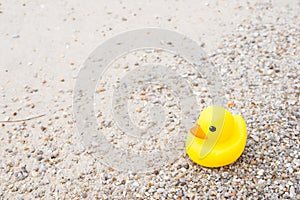 Family holiday concept with rubber ducks walking