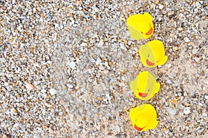 Family holiday concept with rubber ducks walking