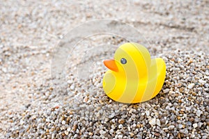 Family holiday concept with rubber ducks walking