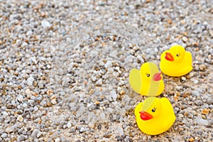 Family holiday concept with rubber ducks walking