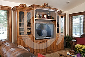 Family Home Entertainment Center