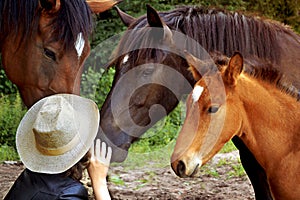 Family horses, mother, father and foal. portrait of horses, next to a farmer in a hat