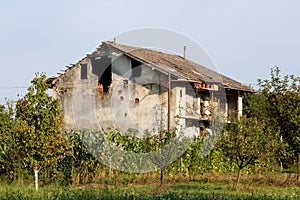 Family house abandoned after war left with damaged exterior surrounded with trees and high uncut grass