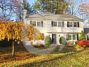 Family house with beautiful front lawn