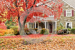 Family house with front lawn in fall colors