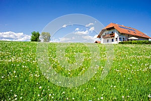 Family House in a Summer Landscape