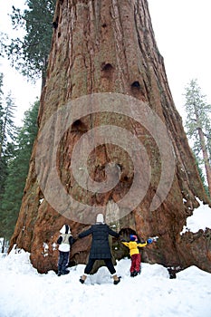 Family hugging a giant sequoia tree