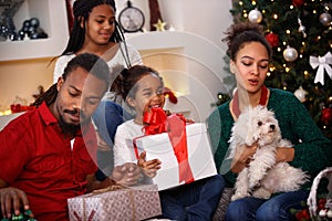 Family idyll for Christmas photo