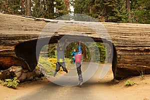 Family with infant visit Sequoia national park in California