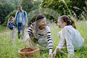 Family on interesting walk in forest, going through meadow. Mushroom, herbs medical plants or flowers picking, foraging