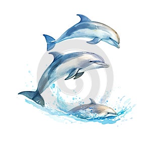 Family of jumping bottlenose dolphins on white isolated background