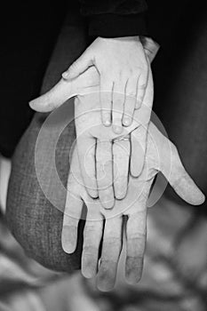 Family Kid Hands. Father and Mother Holding Kid. Child Hand Closeup into Parents