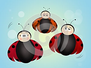 Family of ladybugs