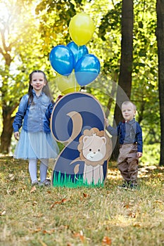 Family life. Brother and sister in the Park. Birthday of a two year old boy. Decor with the number two with lion and balloons