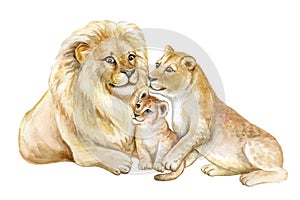 Family of lions African landscape. Father mother child baby. Watercolor