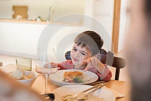 Family with a little child sitting together for lunch