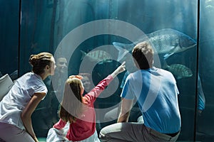 Family looking at fish tank