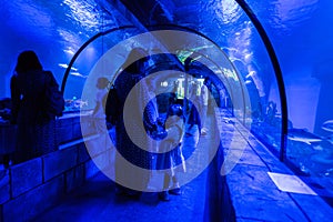 Family looking at fishes and shark in oceanarium. Mother with children enjoying in ocean exhibit tank