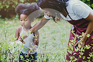 Family lovely gardening watering green plant activity with children during Stay at Home to reduce the outbreak of the Coronavirus