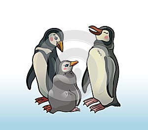 Family of magelanic penguins