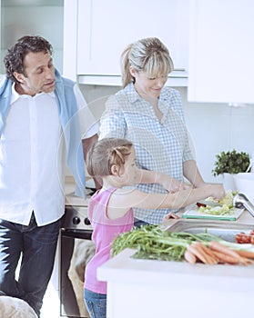 Family making a healthy salad in the kitchen