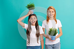 Family of mother and surprised girl child holding pot plant on head to grow taller, growing