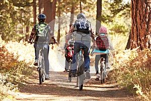 Famiglia montagna Ciclismo sul foresta marciapiede 