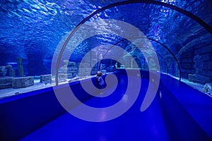 Family observing fish at the aquarium