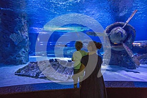 Family observing fish at the aquarium