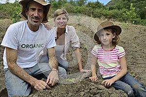 Family of organic farmers planting seedling