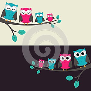 Family of owls