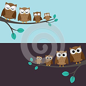 Family of owls