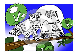 Family owls, colouring book