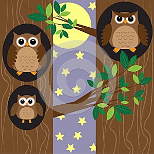 Family owls at night