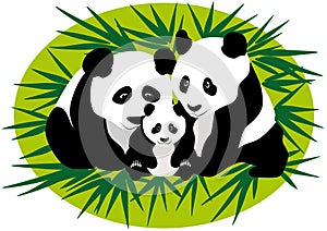 Family Panda Bears