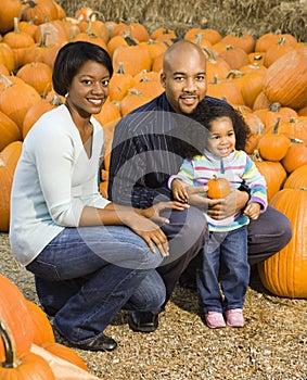 Family picking pumpkin.